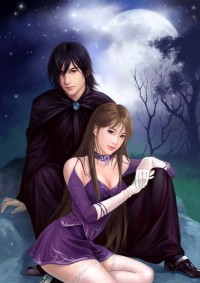 傻妻